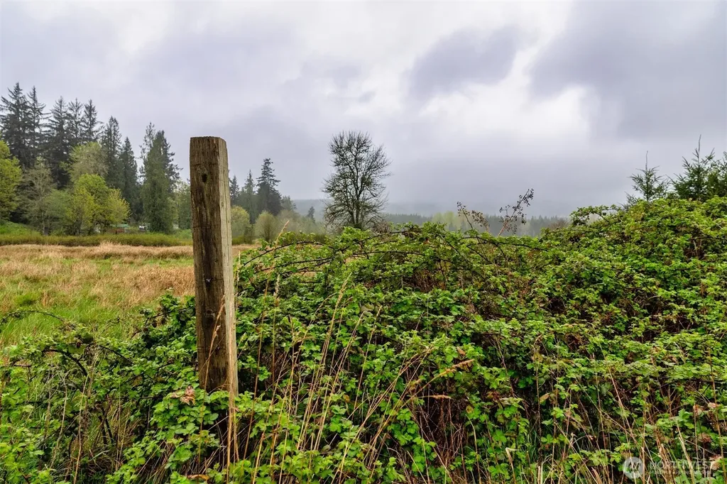 30 Belle Lane Mccleary WA 98557