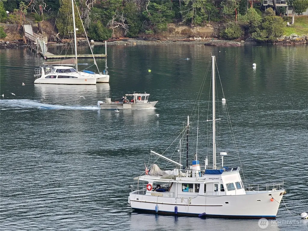 460 Harrison Street Friday Harbor WA 98250