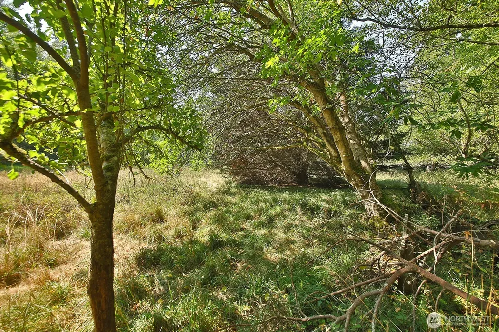 0 Farmer Lane Freeland WA 98249