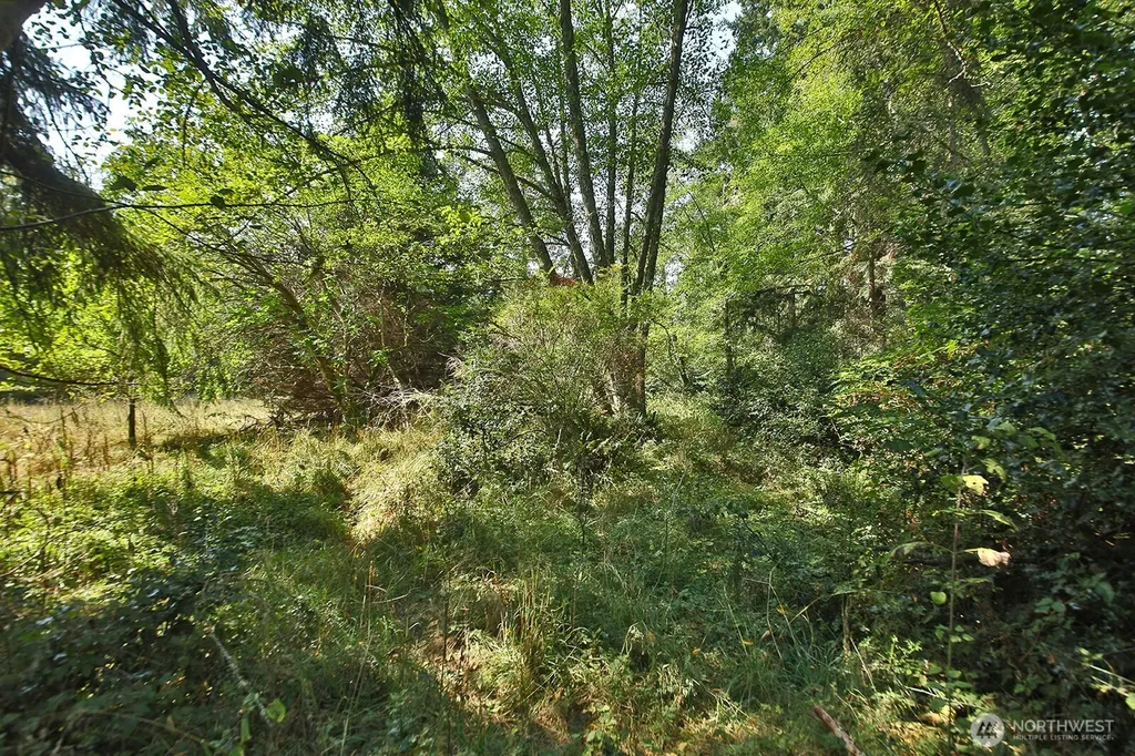 0 Farmer Lane Freeland WA 98249