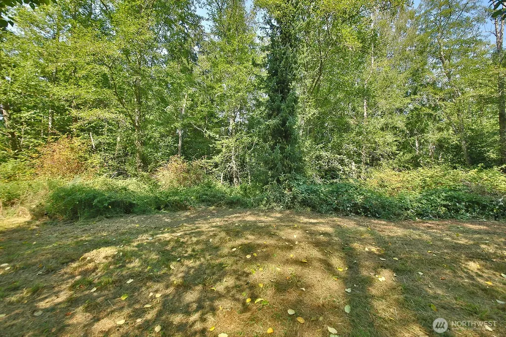0 Farmer Lane Freeland WA 98249