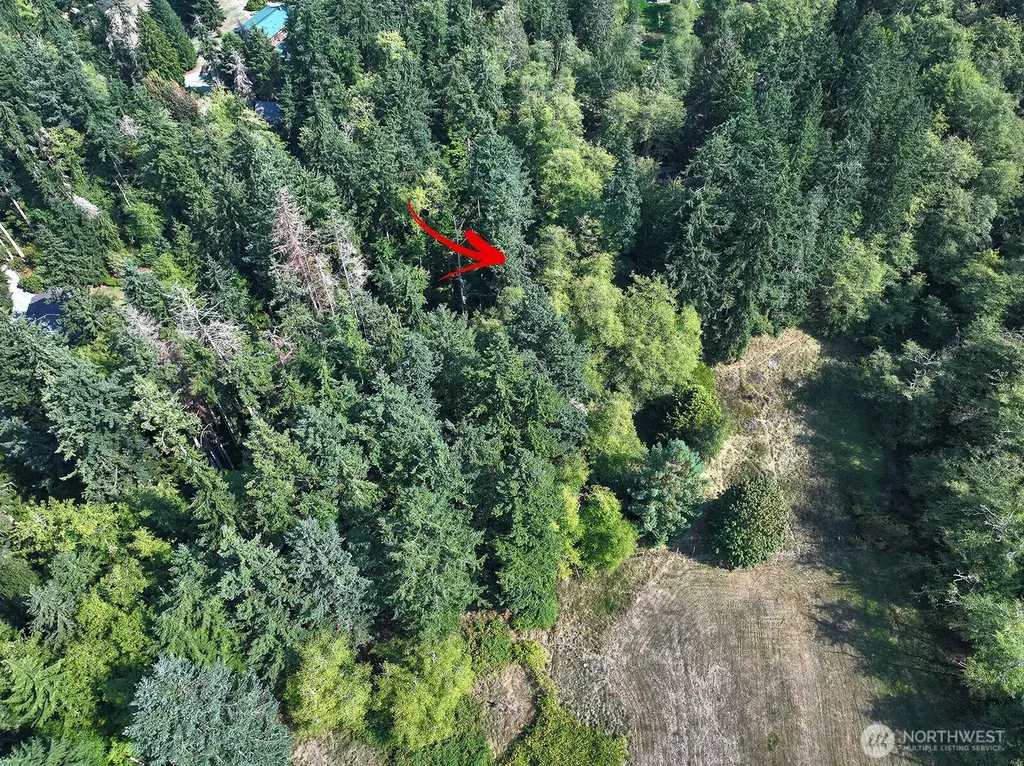 0 Farmer Lane Freeland WA 98249
