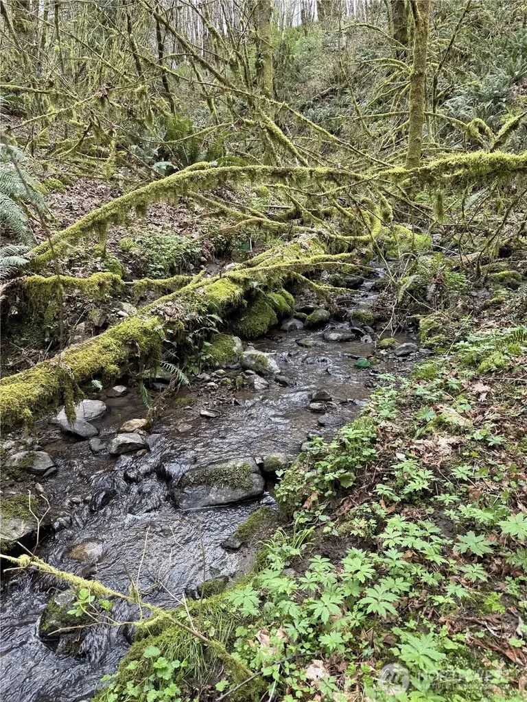 0 Nka Tybren Heights Kelso WA 98626