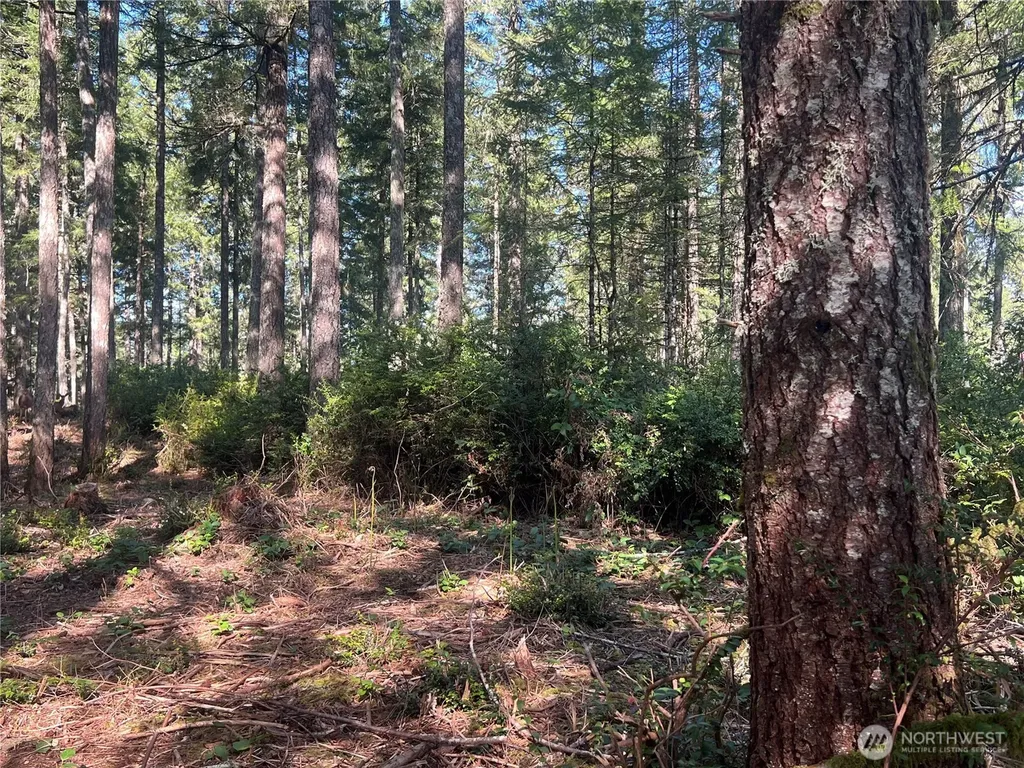 380 E Laurel Park Union WA 98592