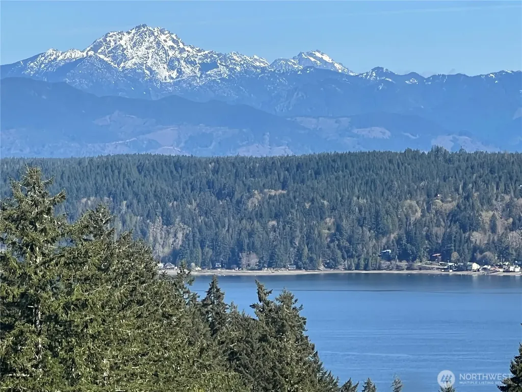 380 E Laurel Park Union WA 98592