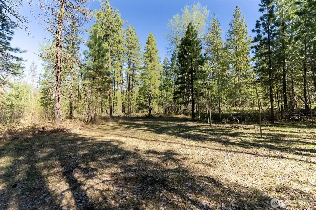 19 Stagecoach Road Carlton WA 98814