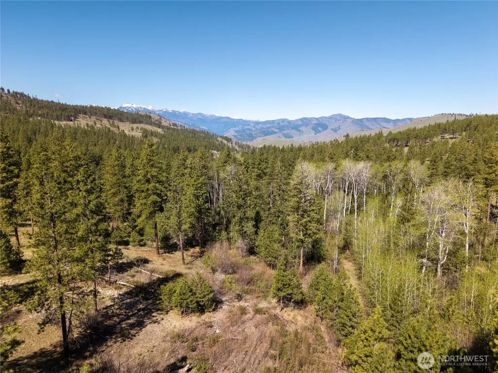 19 Stagecoach Road Carlton WA 98814