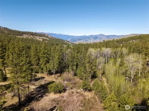 19 Stagecoach Road Carlton WA 98814