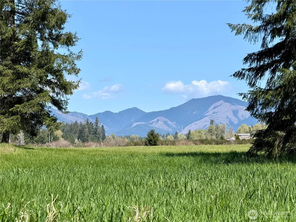 0 W Forest Green Lane Elma WA 98541