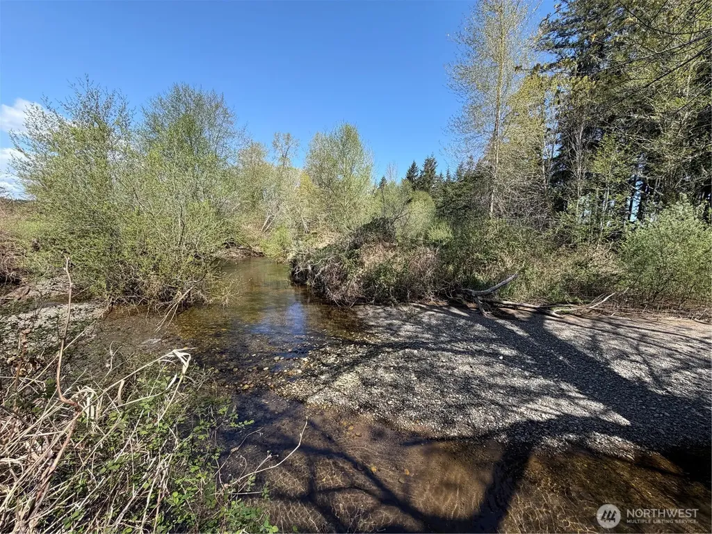 0 W Forest Green Lane Elma WA 98541