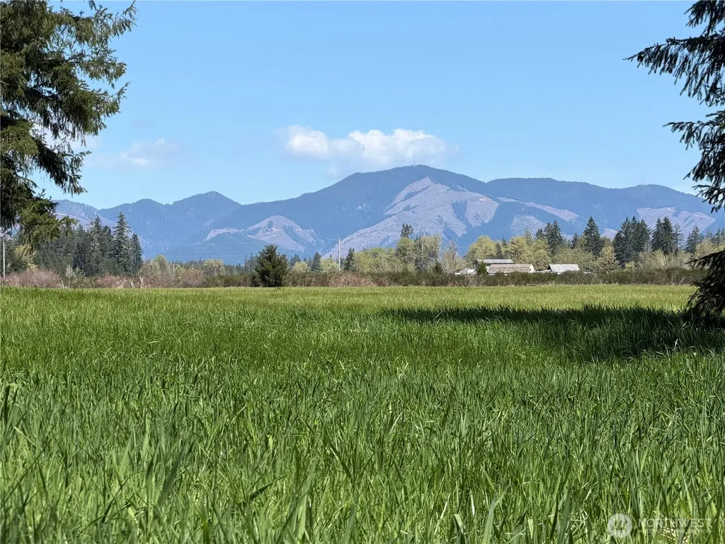 0 W Forest Green Lane Elma WA 98541