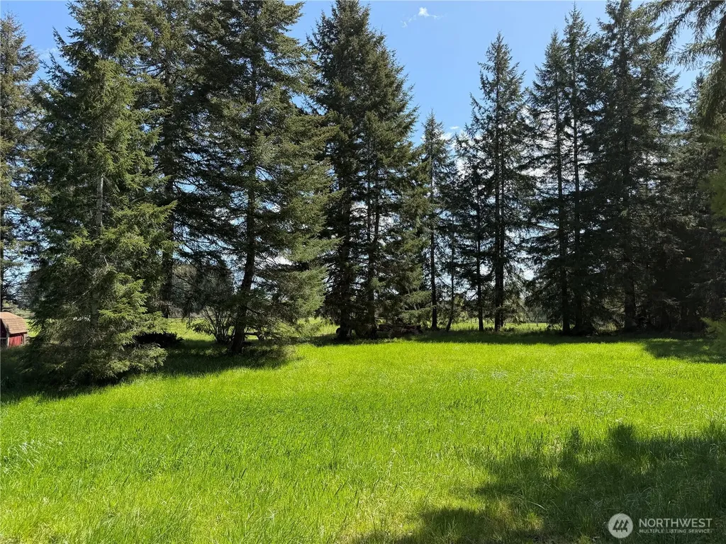 0 W Forest Green Lane Elma WA 98541