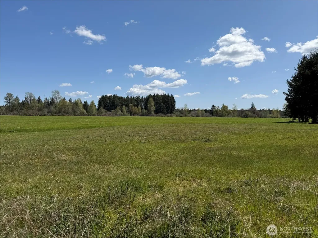 0 W Forest Green Lane Elma WA 98541