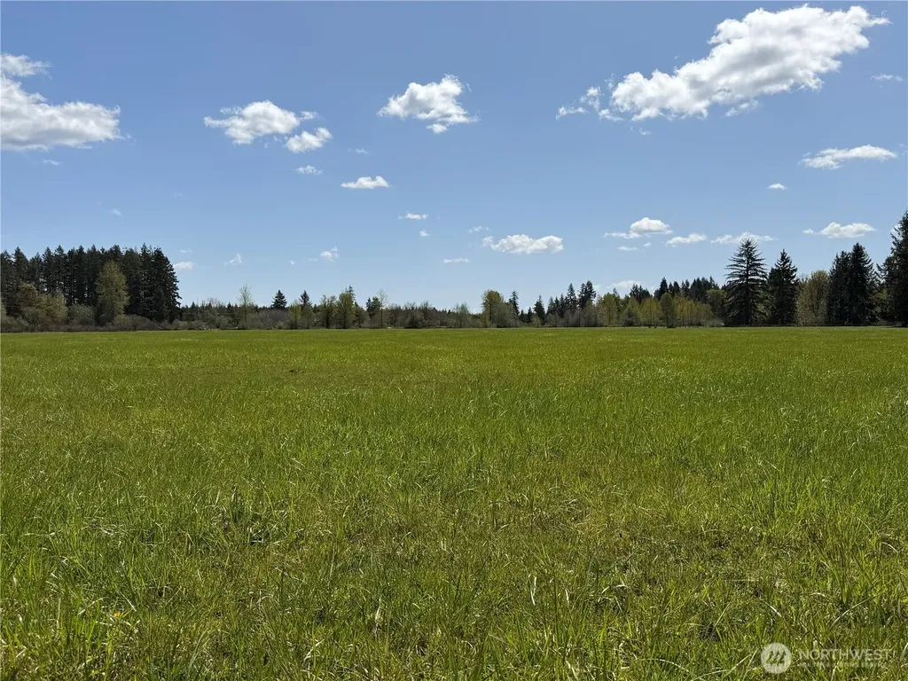 0 W Forest Green Lane Elma WA 98541