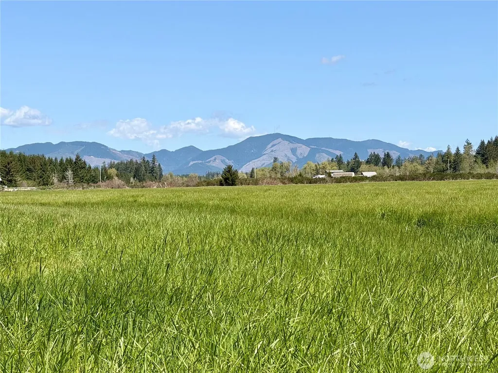 0 W Forest Green Lane Elma WA 98541