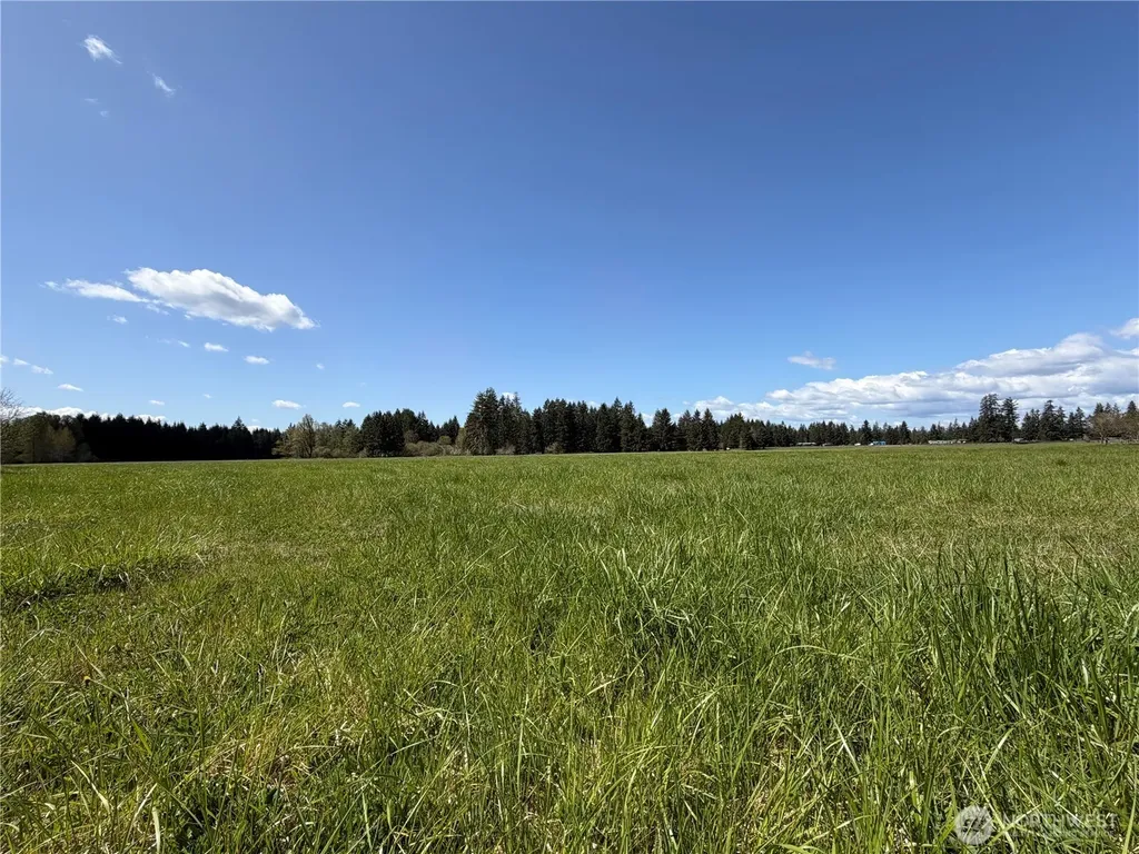 0 W Forest Green Lane Elma WA 98541