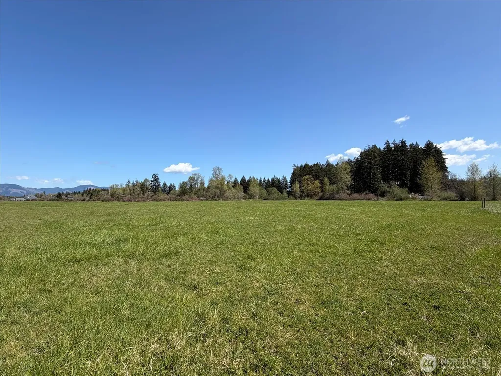 0 W Forest Green Lane Elma WA 98541