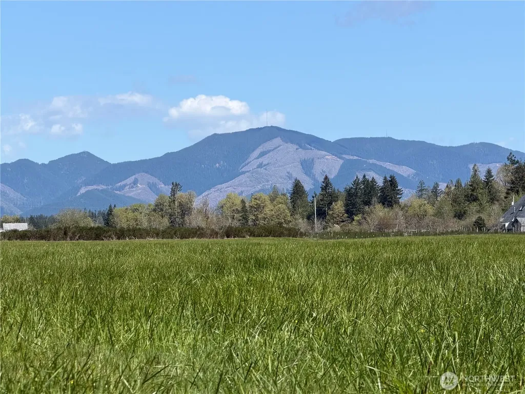 0 W Forest Green Lane Elma WA 98541