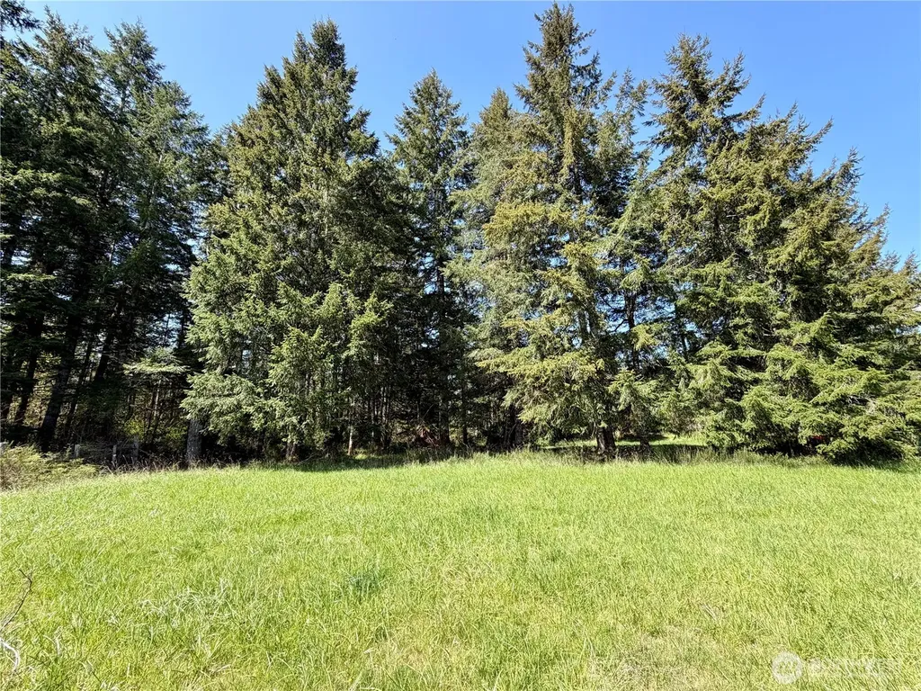 0 W Forest Green Lane Elma WA 98541