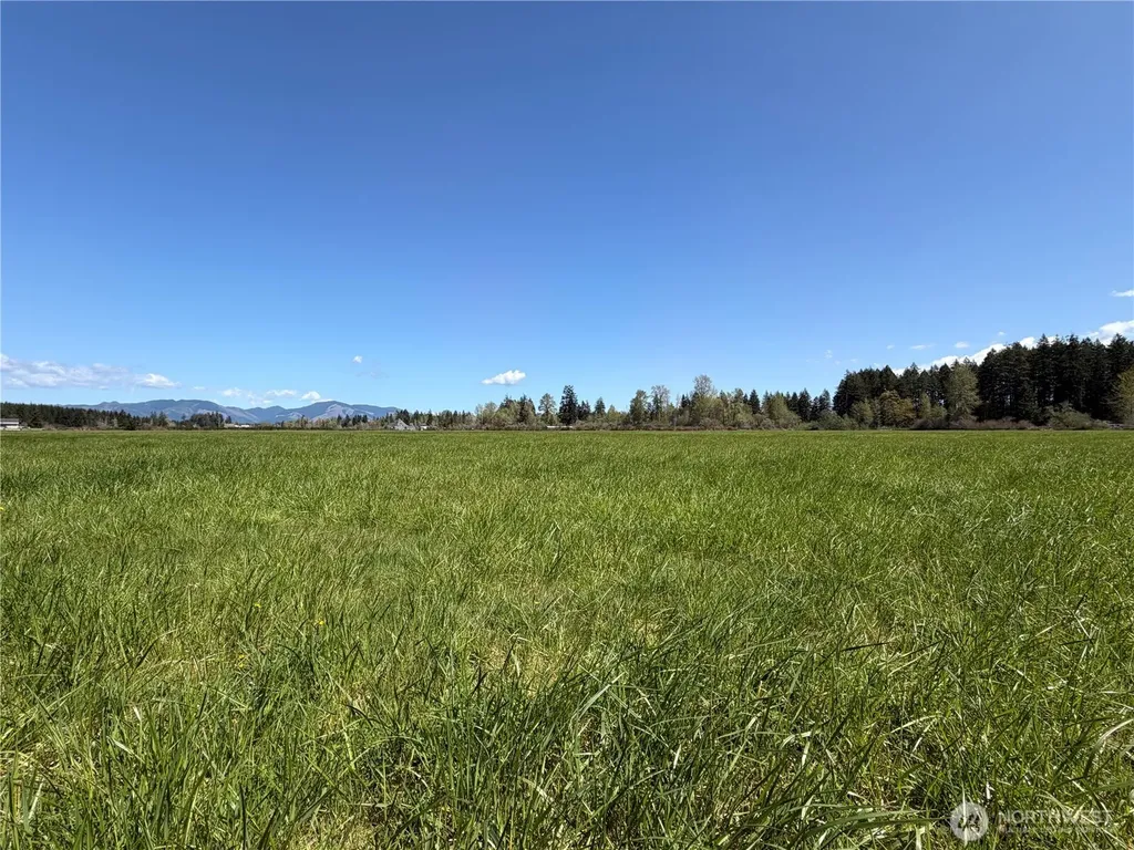 0 W Forest Green Lane Elma WA 98541