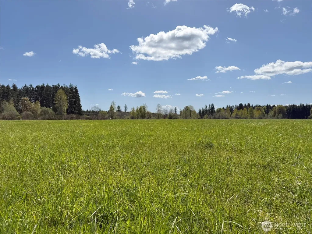 0 W Forest Green Lane Elma WA 98541