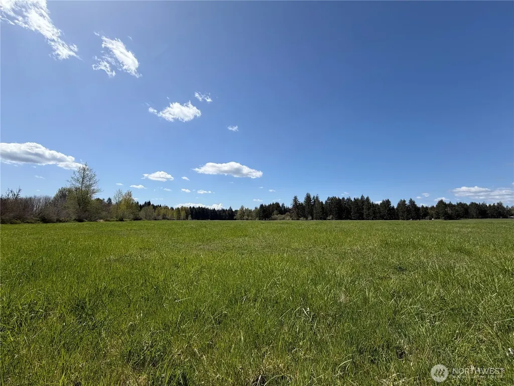 0 W Forest Green Lane Elma WA 98541