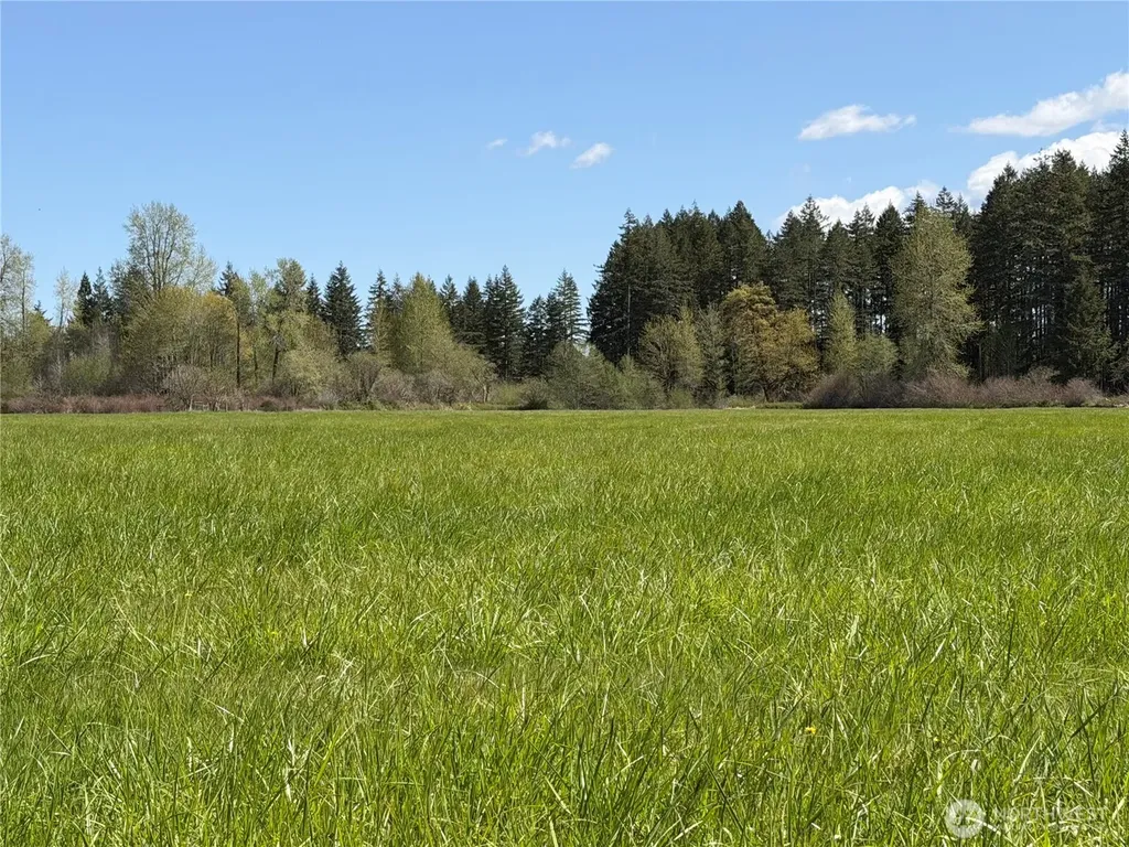 0 W Forest Green Lane Elma WA 98541