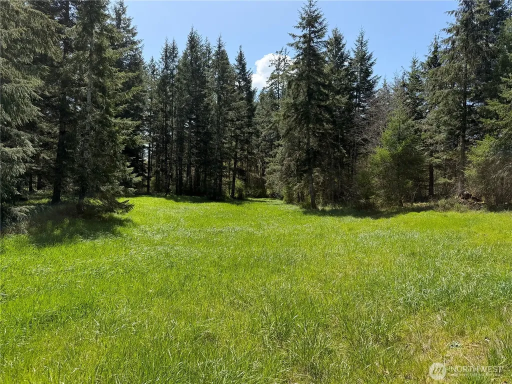 0 W Forest Green Lane Elma WA 98541