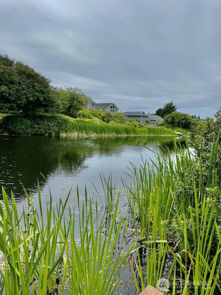311 Cockle Street SW Ocean Shores WA 98569