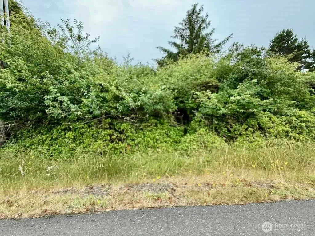 311 Cockle Street SW Ocean Shores WA 98569