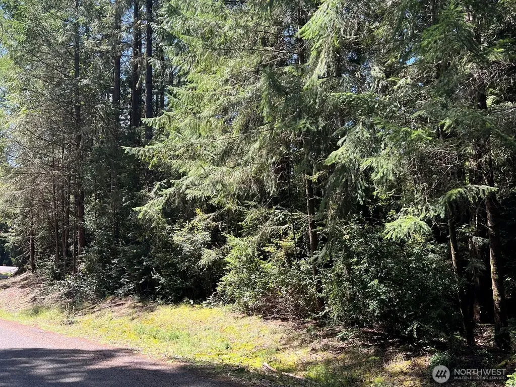 10919 Suncrest Drive Anderson Island WA 98303