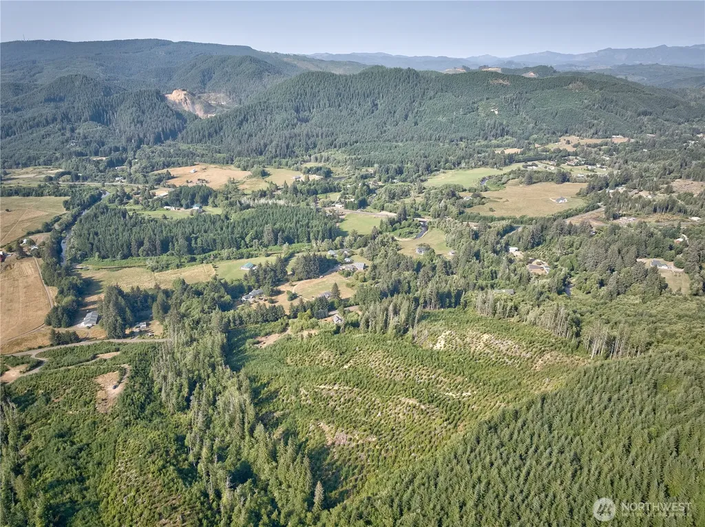 0 South Valley Road Naselle WA 98638