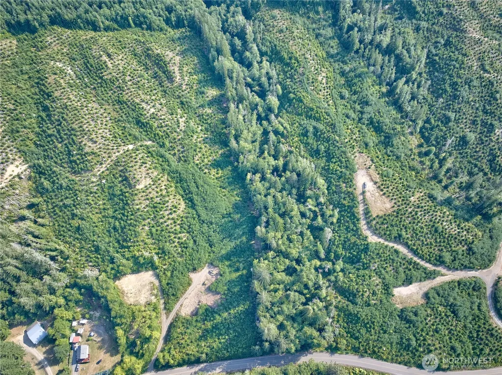 0 South Valley Road Naselle WA 98638