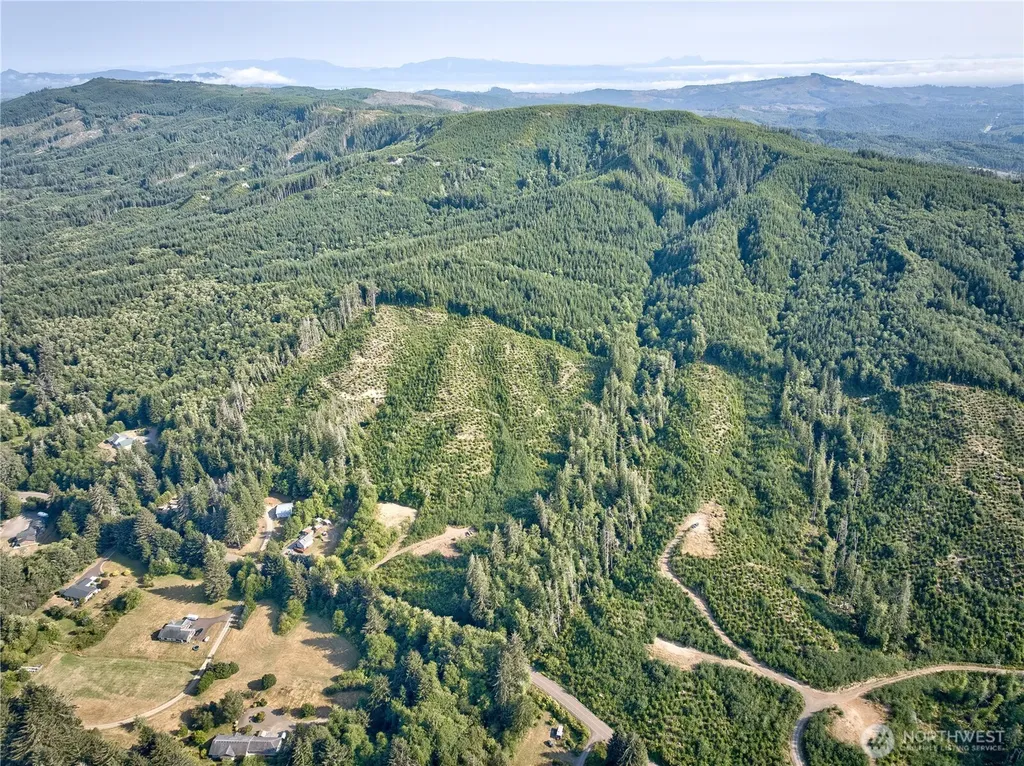 0 South Valley Road Naselle WA 98638