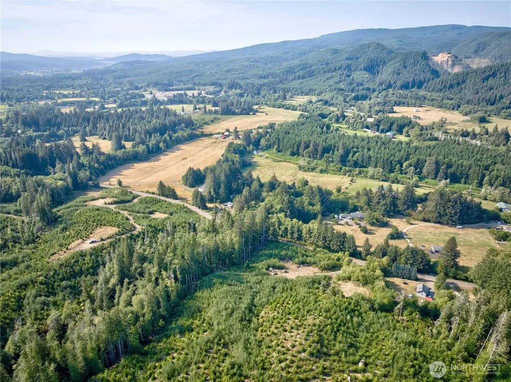 0 South Valley Road Naselle WA 98638