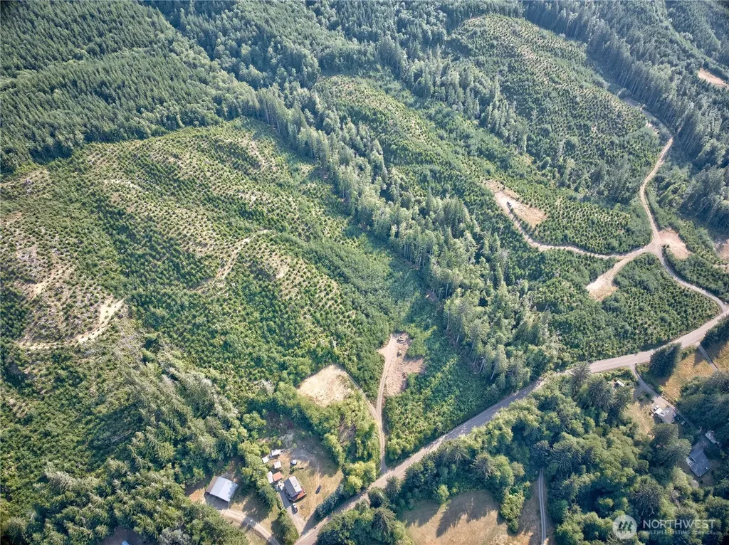 0 South Valley Road Naselle WA 98638