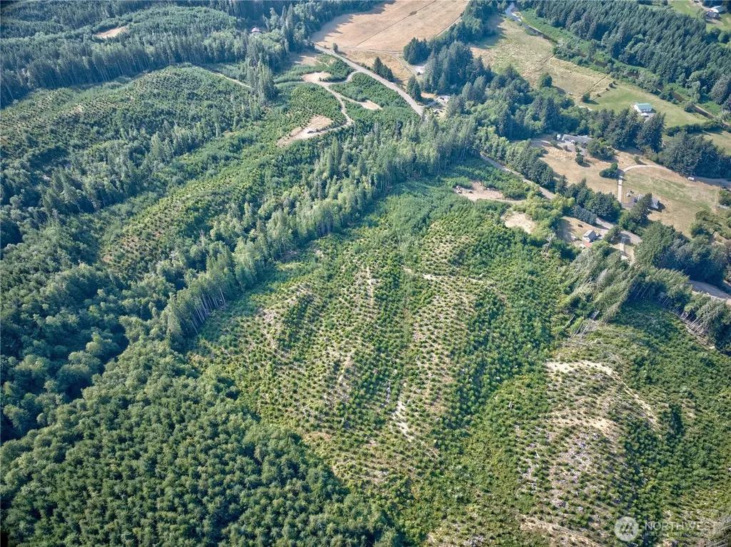 0 South Valley Road Naselle WA 98638