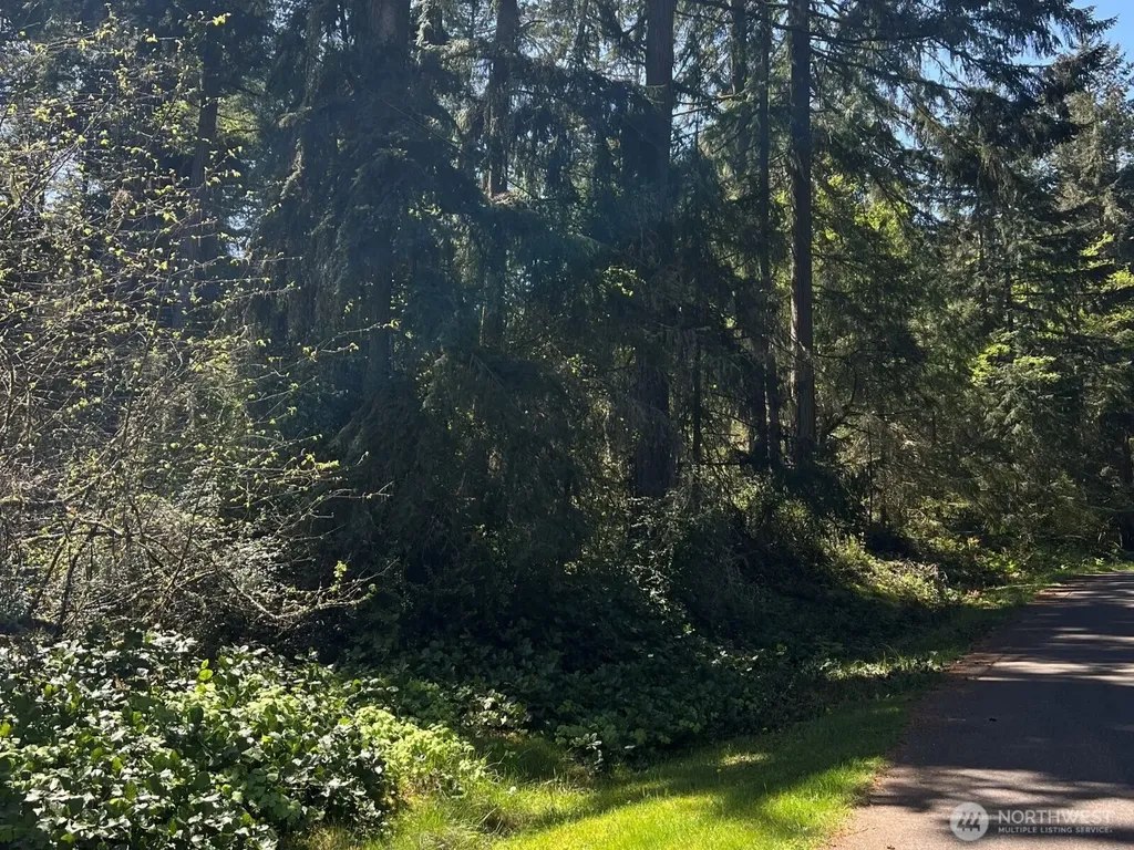10404 Suncrest Drive Anderson Island WA 98303