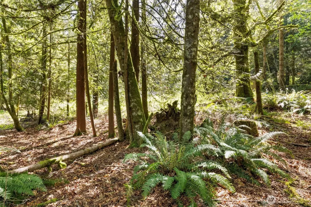 7831 Phillips Road SE Port Orchard WA 98367