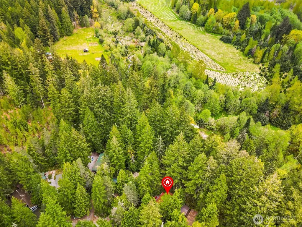 94 Christmas Tree Drive Deming WA 98244