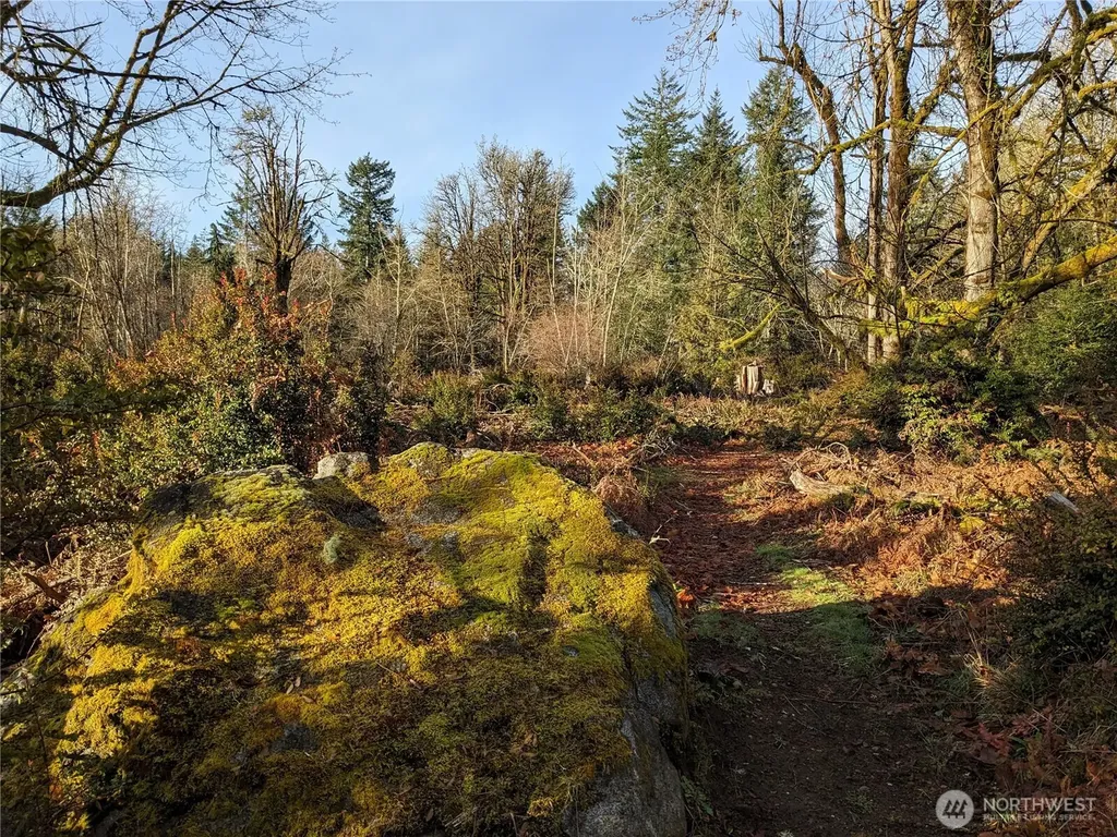 681 E Jared Road Shelton WA 98584