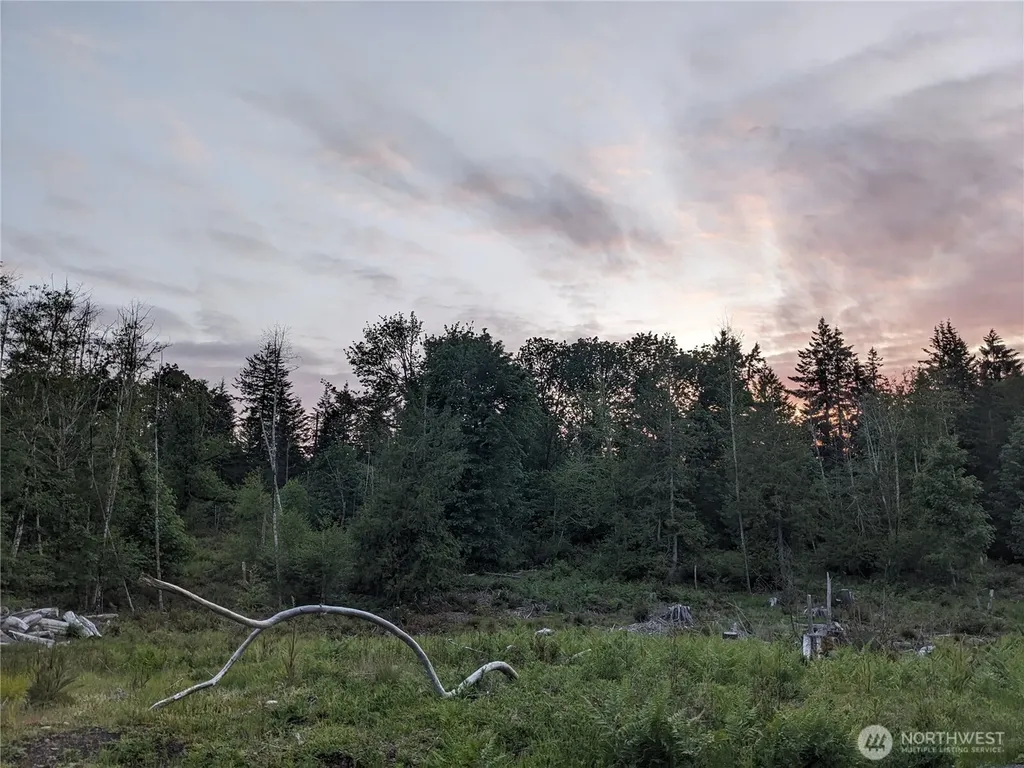 681 E Jared Road Shelton WA 98584