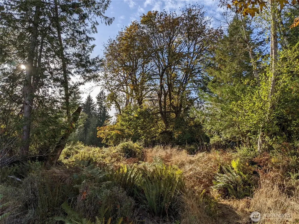 681 E Jared Road Shelton WA 98584
