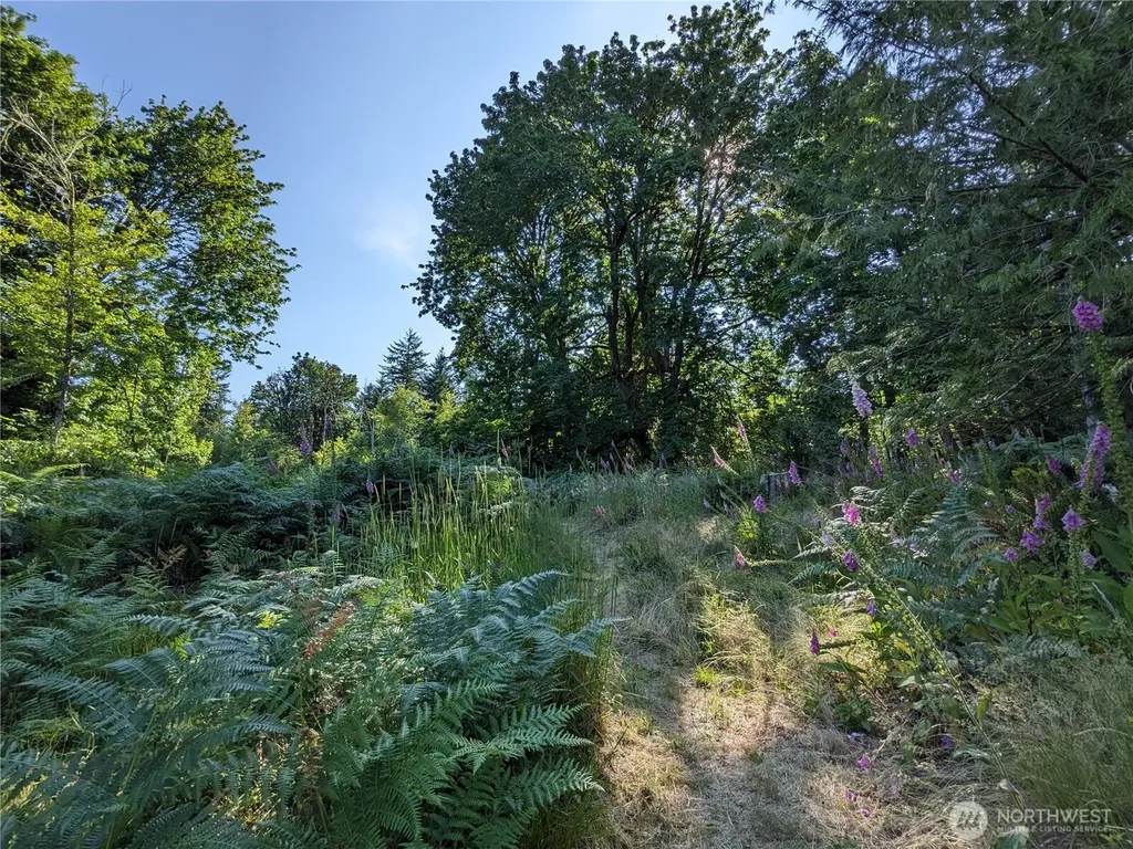 681 E Jared Road Shelton WA 98584