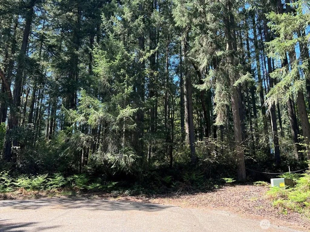 11410 103rd Street Anderson Island WA 98303