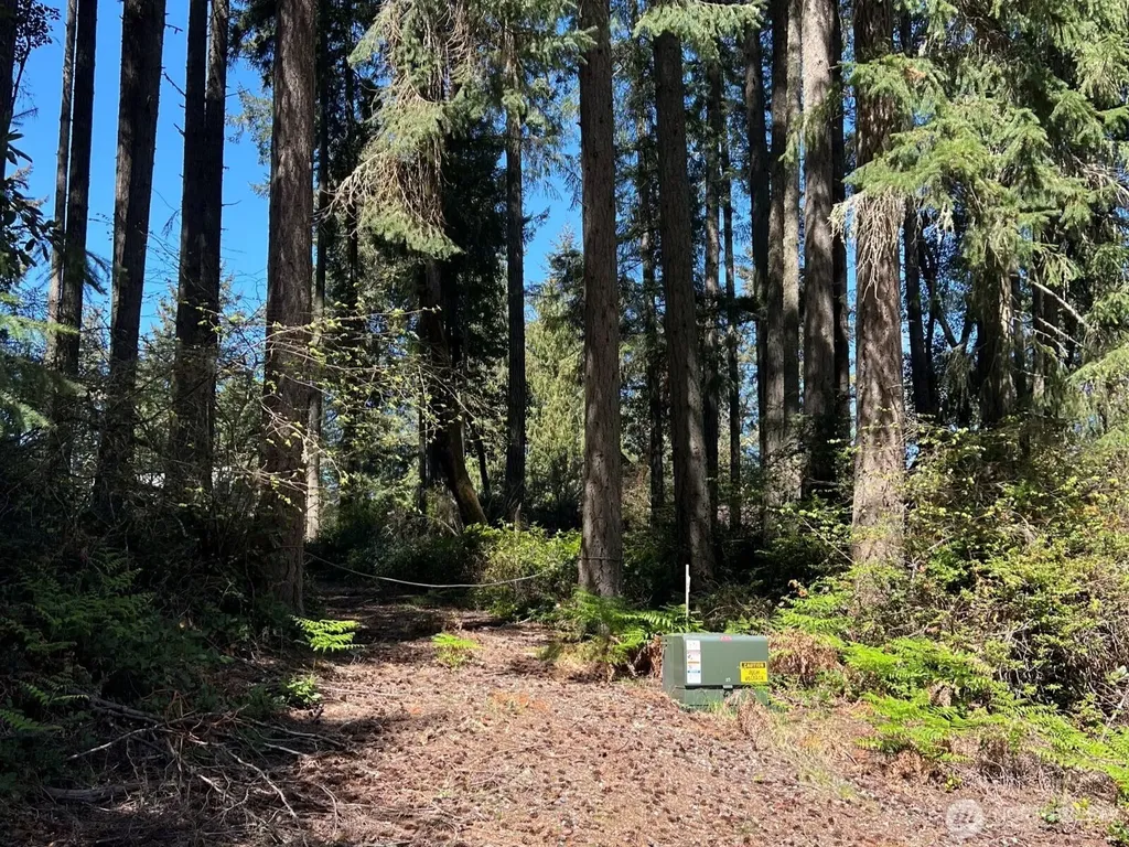 11410 103rd Street Anderson Island WA 98303