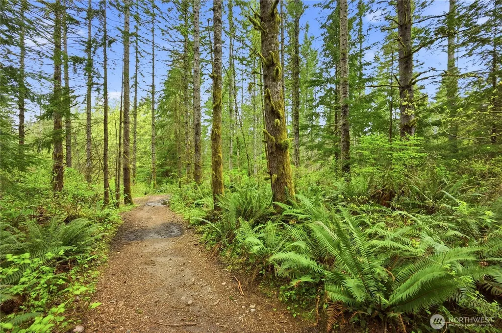 29615 SE 361st Place Enumclaw WA 98022