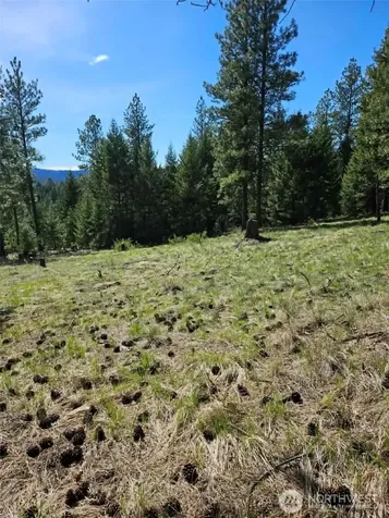 168 Prior Loop Road Oroville WA 98844