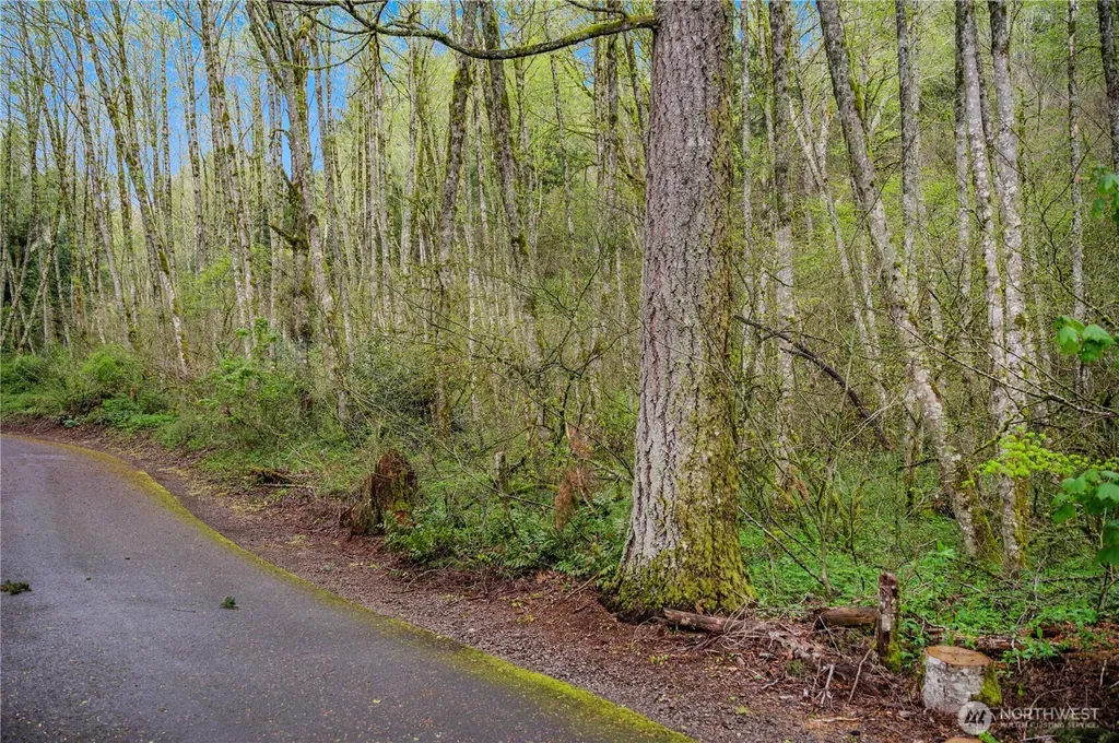 278 NE 66th Street Camas WA 98067