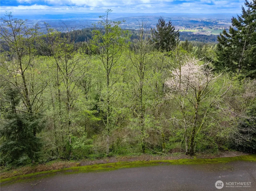 278 NE 66th Street Camas WA 98067